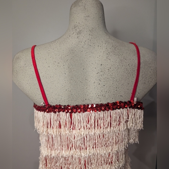 Women’s Red sparkle Fringe 1920’s Flapper Great Gatsby Costume Dress Size XS/S - Picture 7 of 14